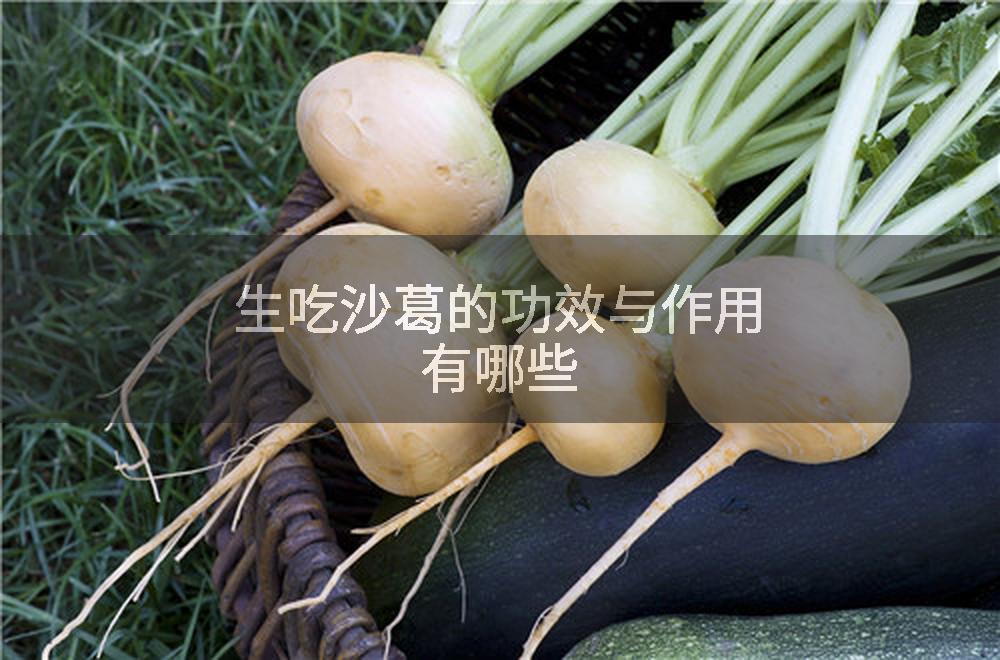 生吃沙葛的功效与作用有哪些