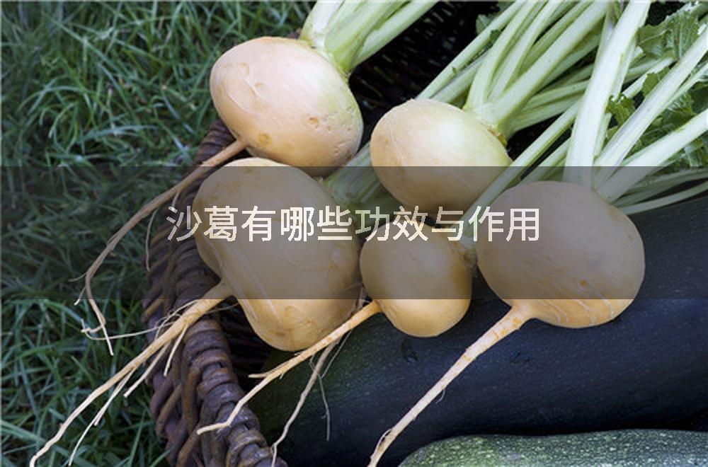 沙葛有哪些功效与作用