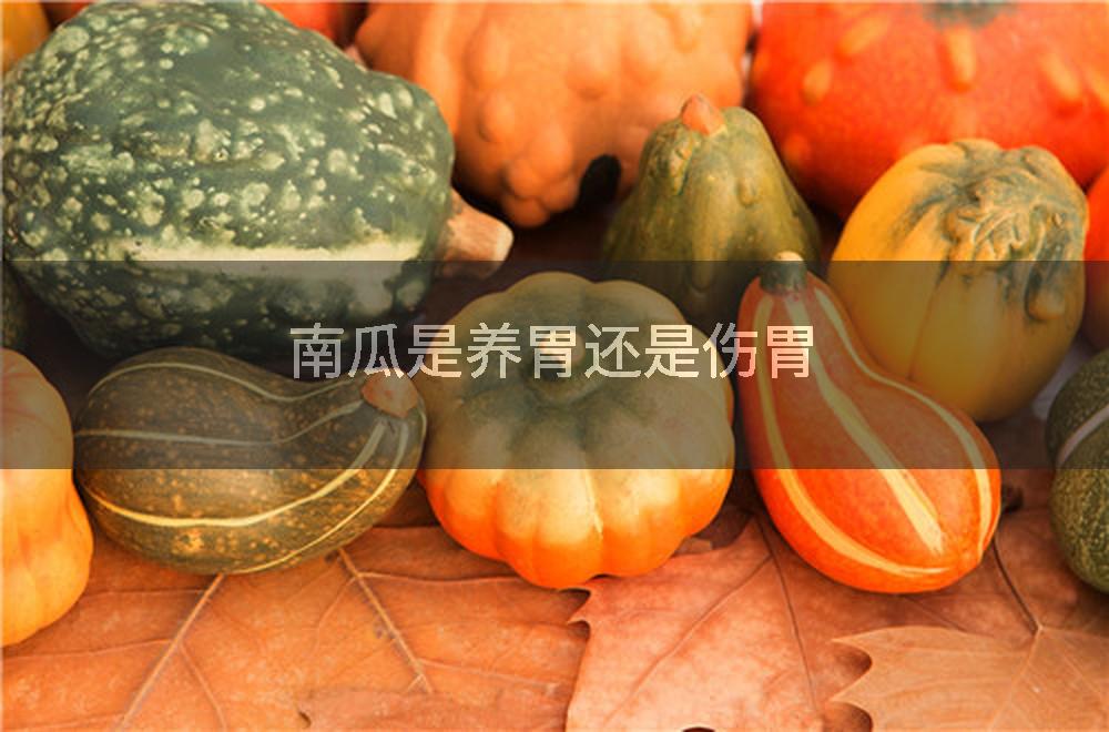南瓜是养胃还是伤胃