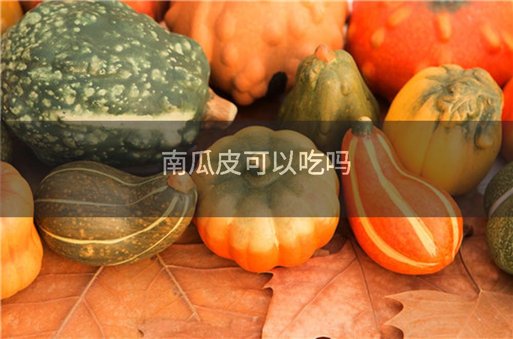 南瓜皮可以吃吗