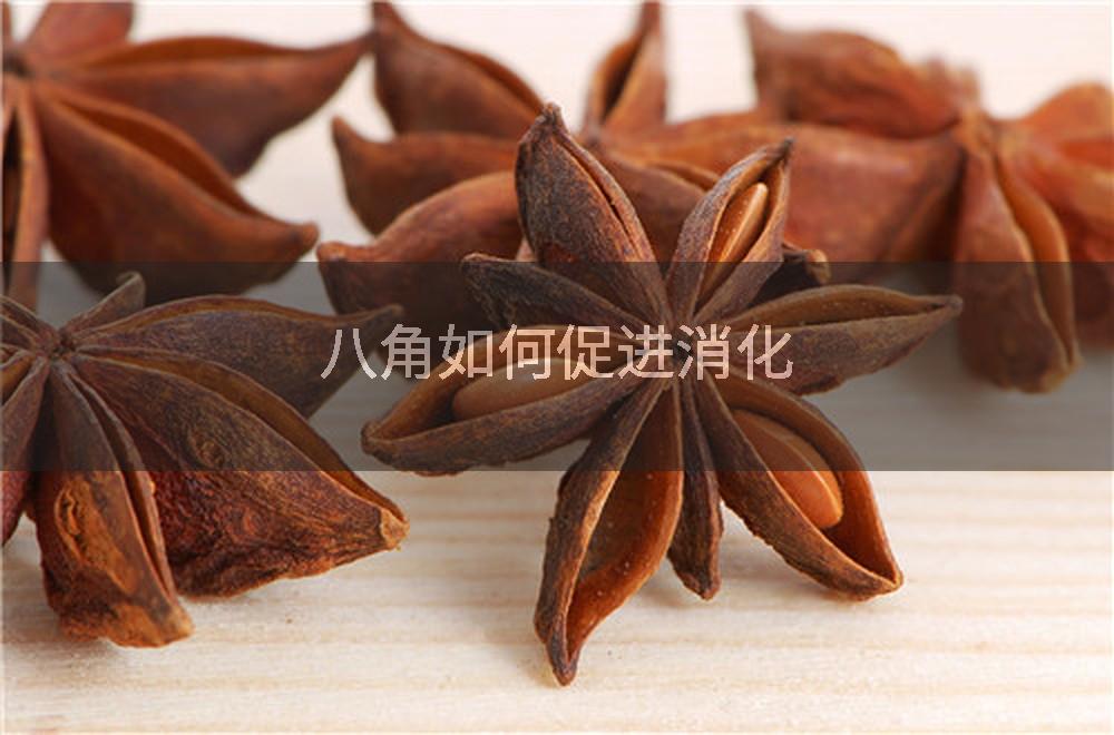 八角如何促进消化