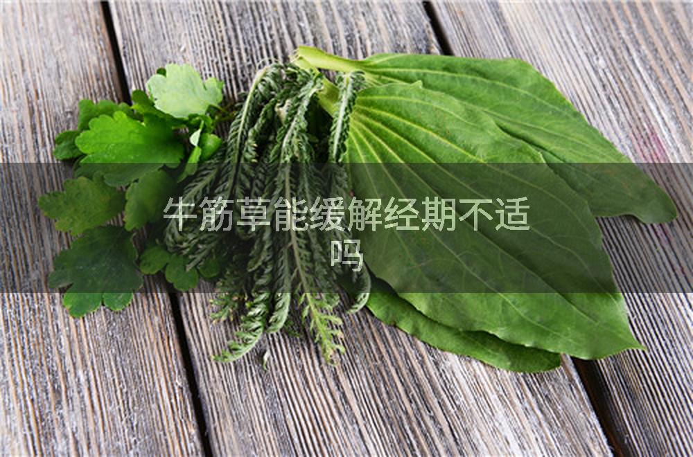 牛筋草能缓解经期不适吗