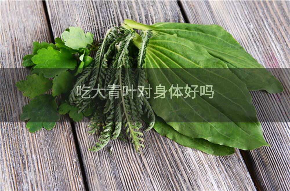 吃大青叶对身体好吗