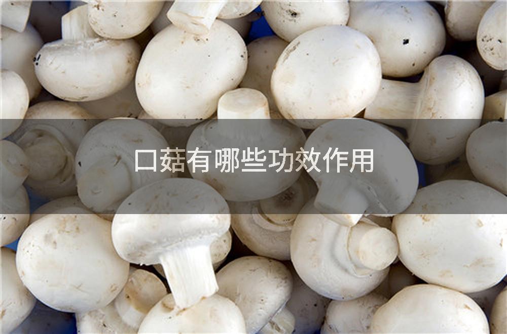 口菇有哪些功效作用