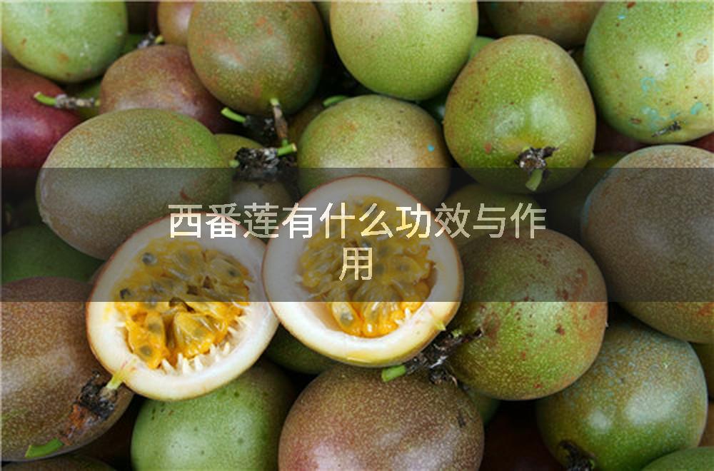 西番莲有什么功效与作用