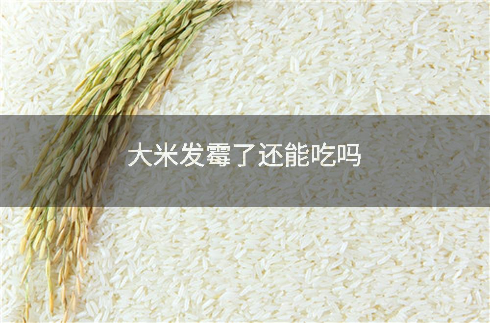 大米发霉了还能吃吗