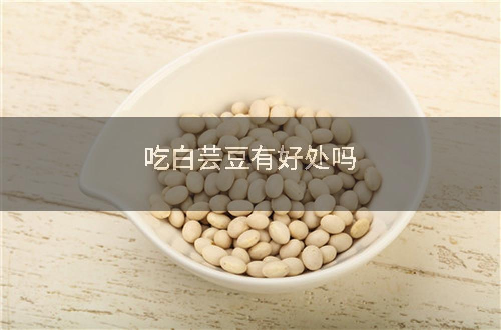 吃白芸豆有好处吗