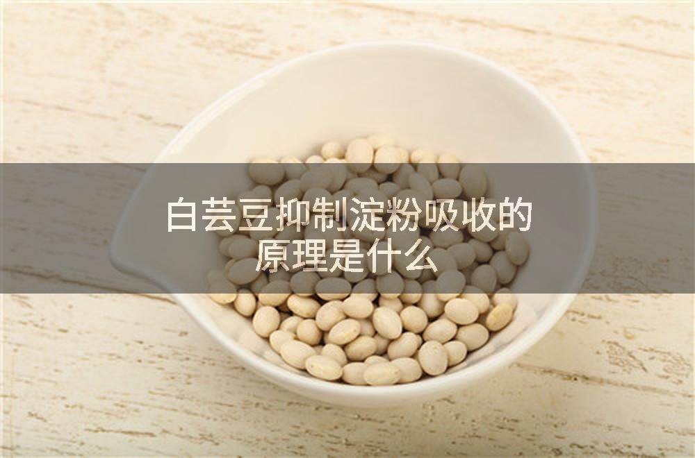 白芸豆抑制淀粉吸收的原理是什么