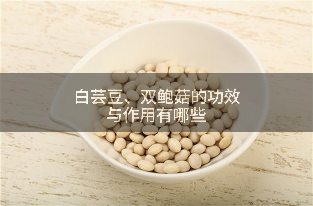 白芸豆、双鲍菇的功效与作用有哪些