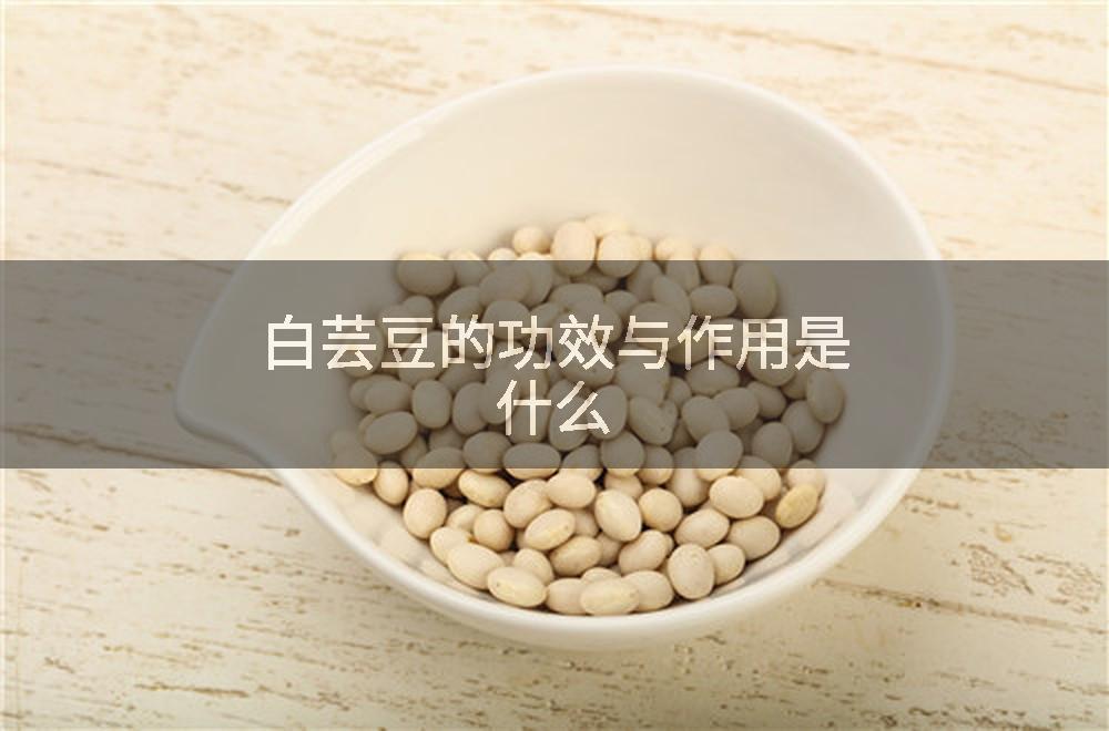 白芸豆的功效与作用是什么