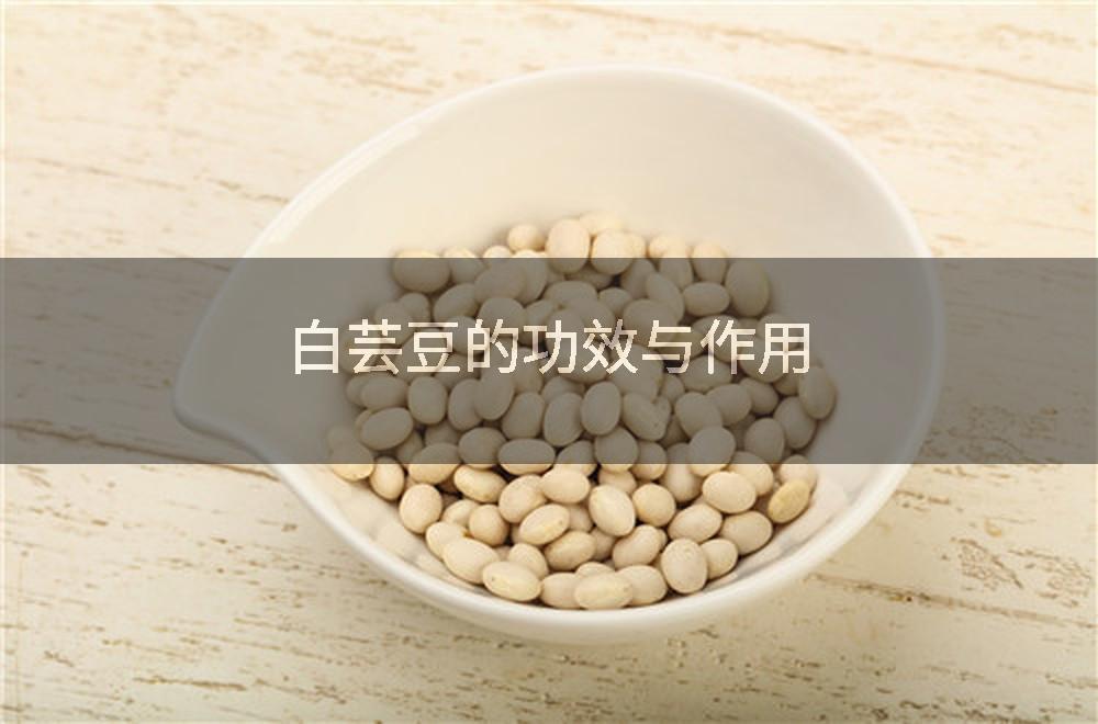 白芸豆的功效与作用