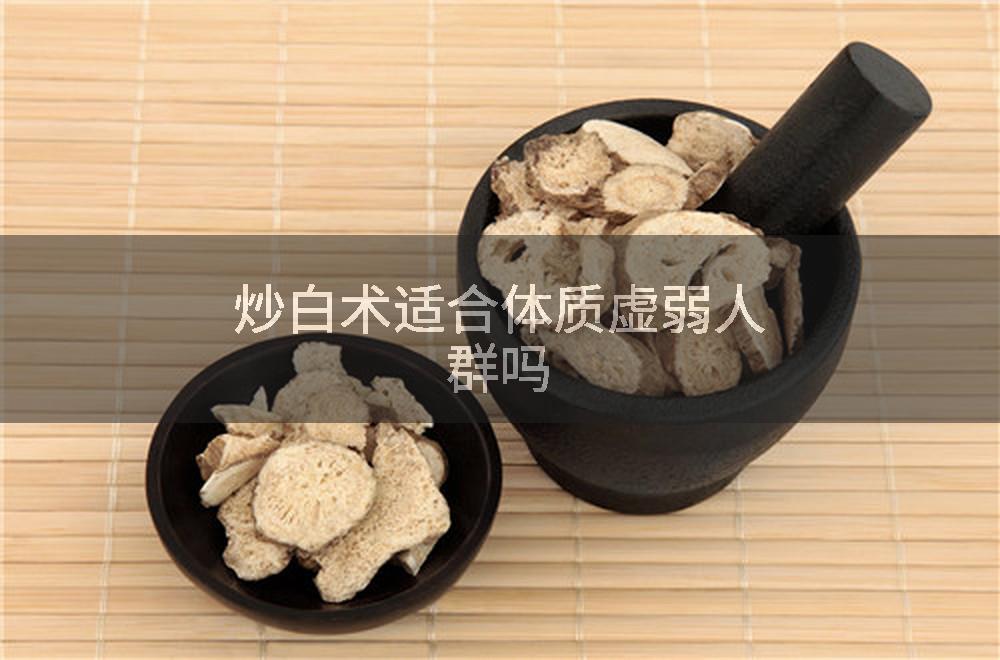 炒白术适合体质虚弱人群吗