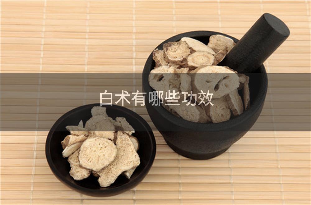 白术有哪些功效