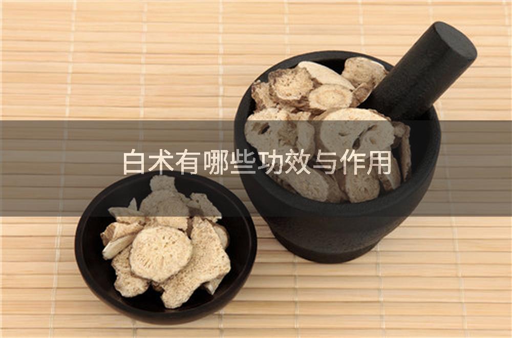 白术有哪些功效与作用