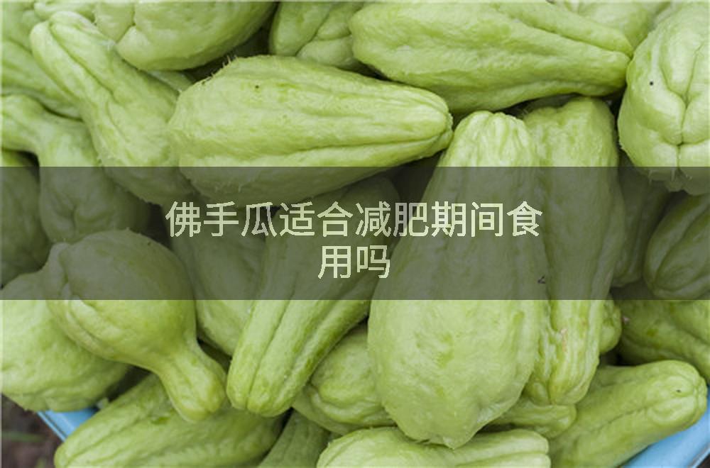 佛手瓜适合减肥期间食用吗