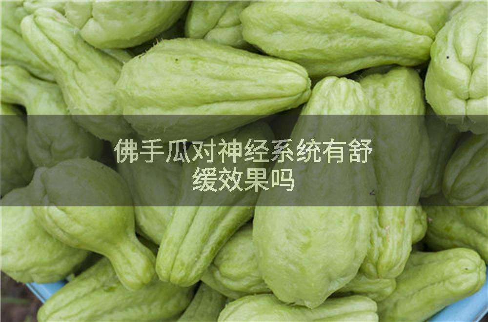佛手瓜对神经系统有舒缓效果吗