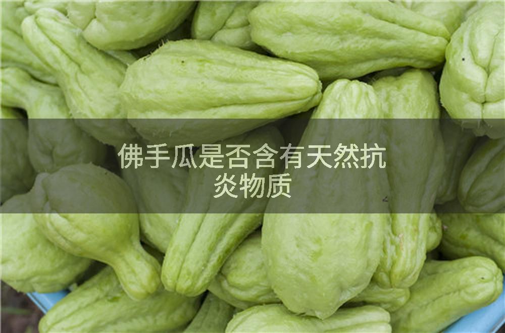 佛手瓜是否含有天然抗炎物质