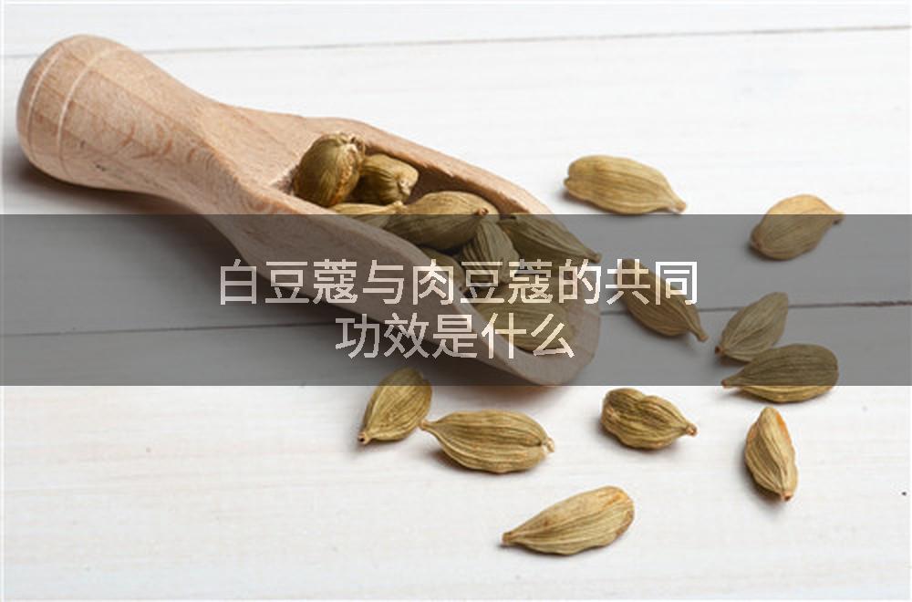 白豆蔻与肉豆蔻的共同功效是什么
