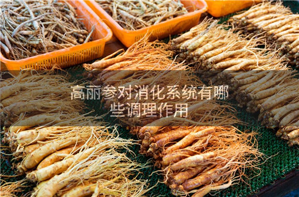 高丽参对消化系统有哪些调理作用