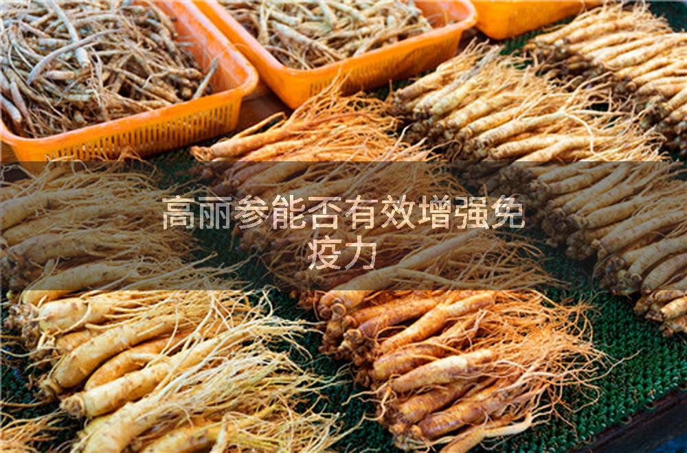 高丽参能否有效增强免疫力