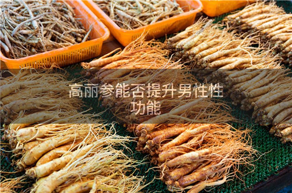 高丽参能否提升男性性功能
