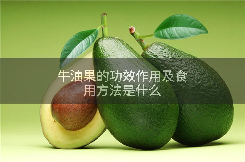 牛油果的功效作用及食用方法是什么