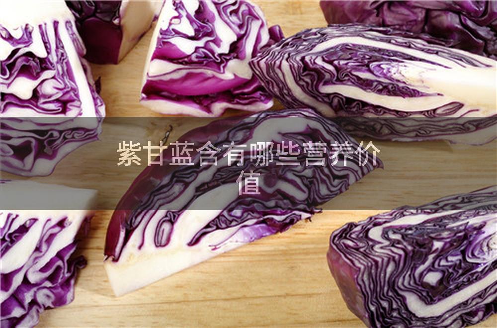 紫甘蓝含有哪些营养价值