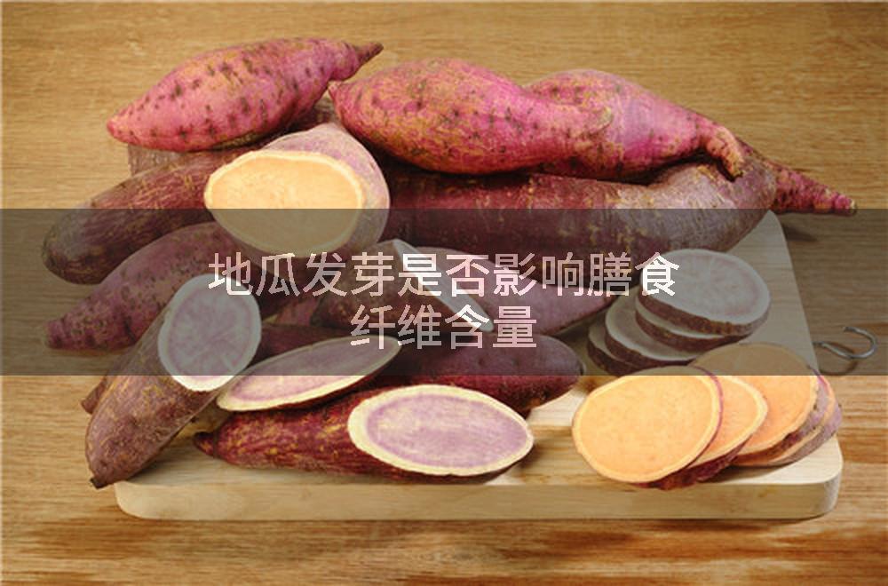 地瓜发芽是否影响膳食纤维含量