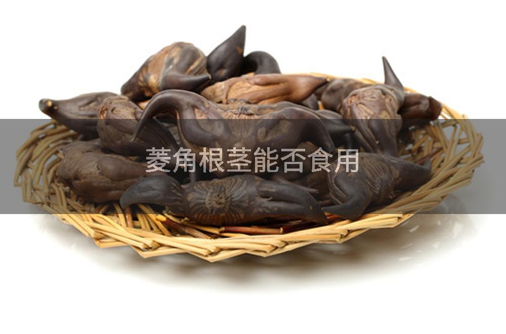 菱角根茎能否食用