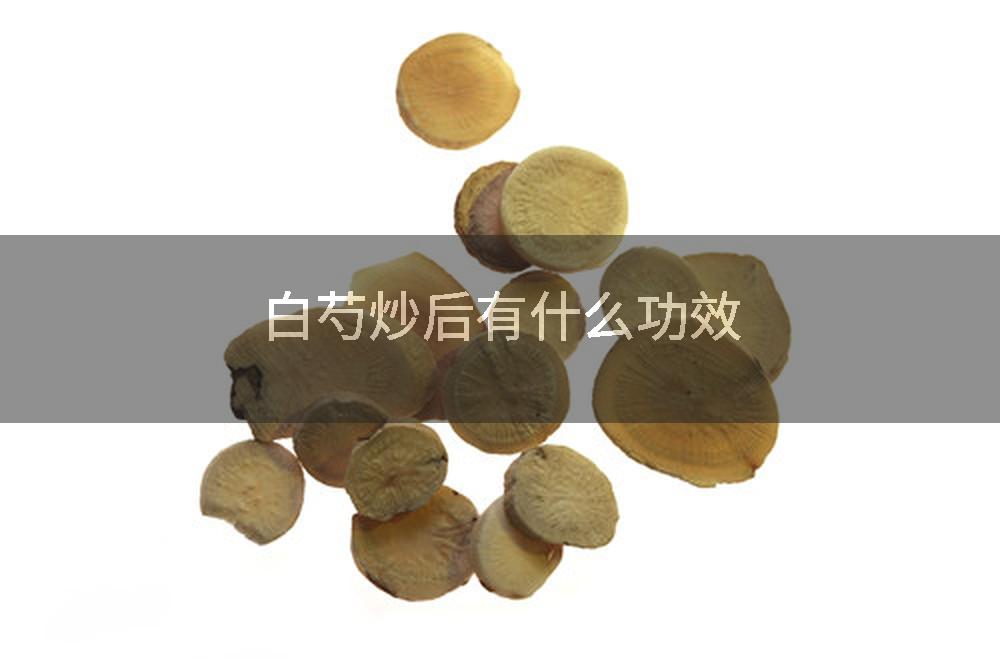 白芍炒后有什么功效