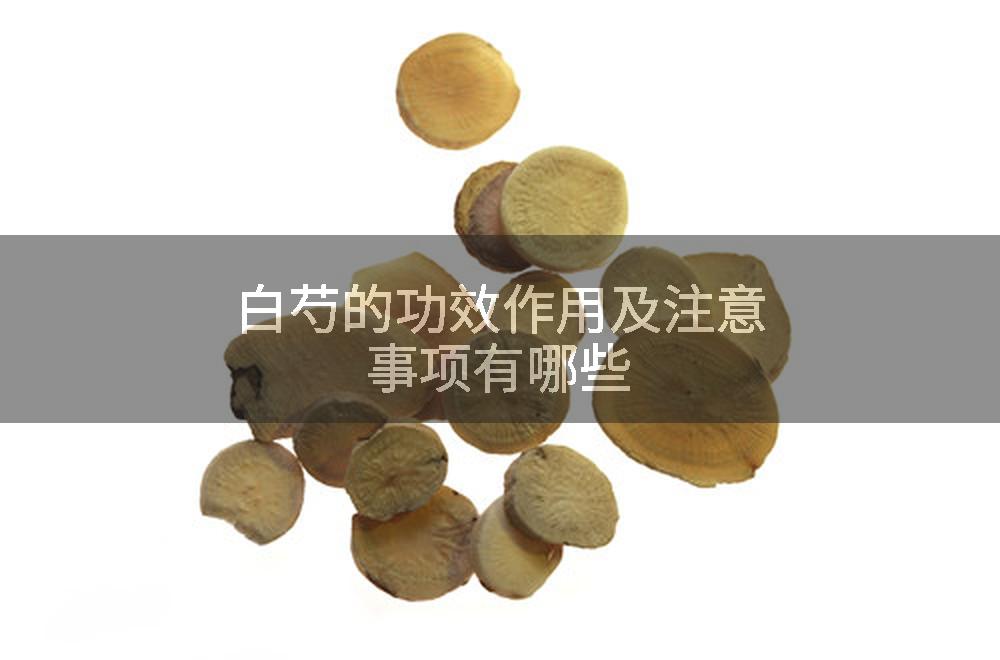 白芍的功效作用及注意事项有哪些