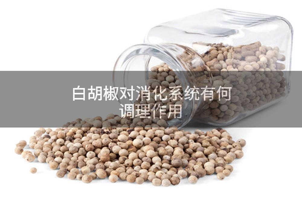 白胡椒对消化系统有何调理作用