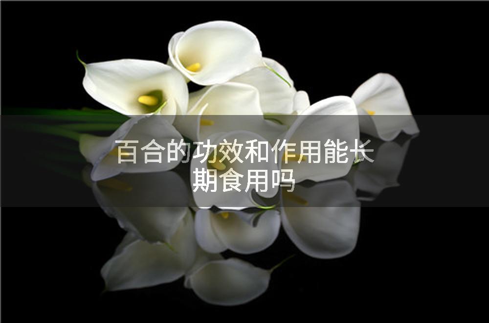 百合的功效和作用能长期食用吗