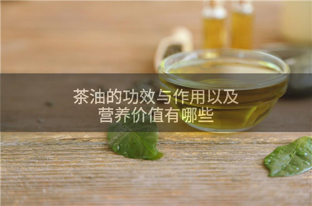 茶油的功效与作用以及营养价值有哪些