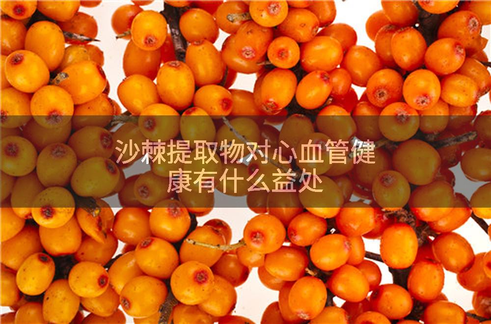 沙棘提取物对心血管健康有什么益处