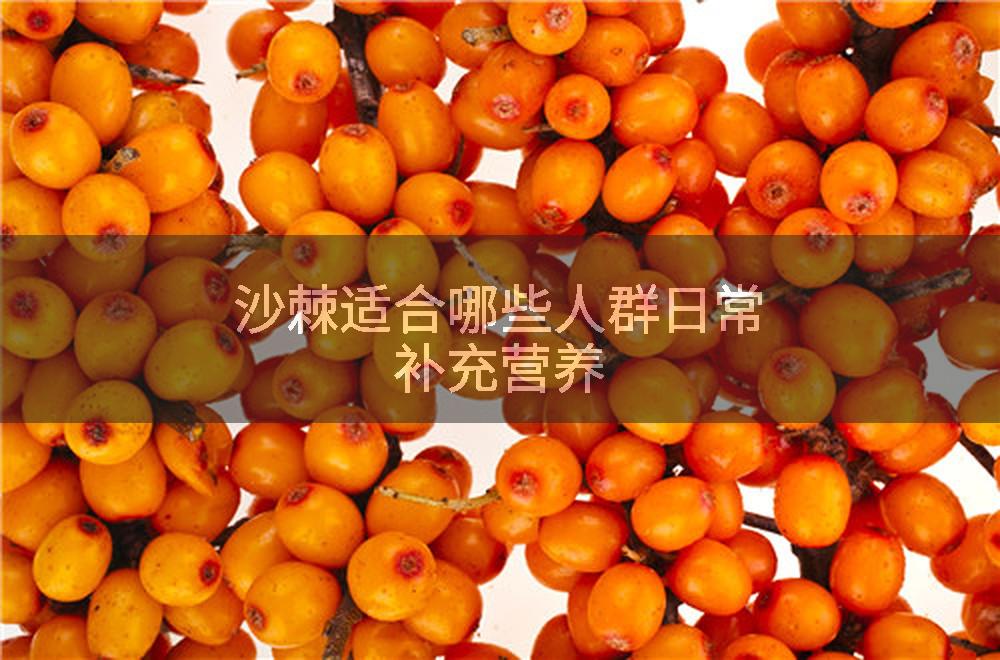 沙棘适合哪些人群日常补充营养