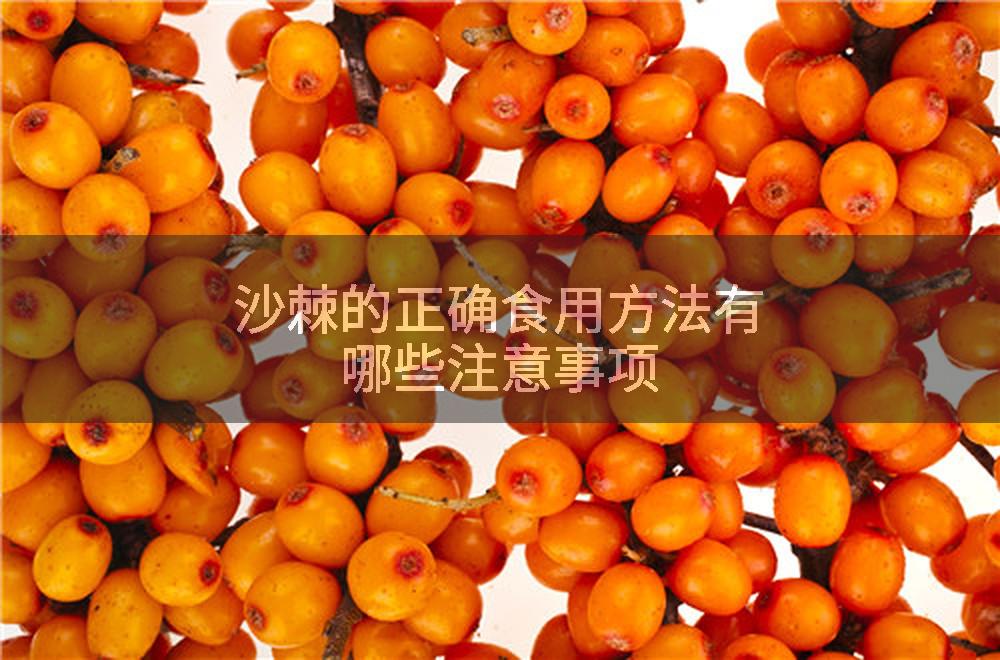 沙棘的正确食用方法有哪些注意事项