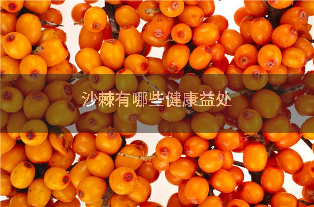 沙棘有哪些健康益处