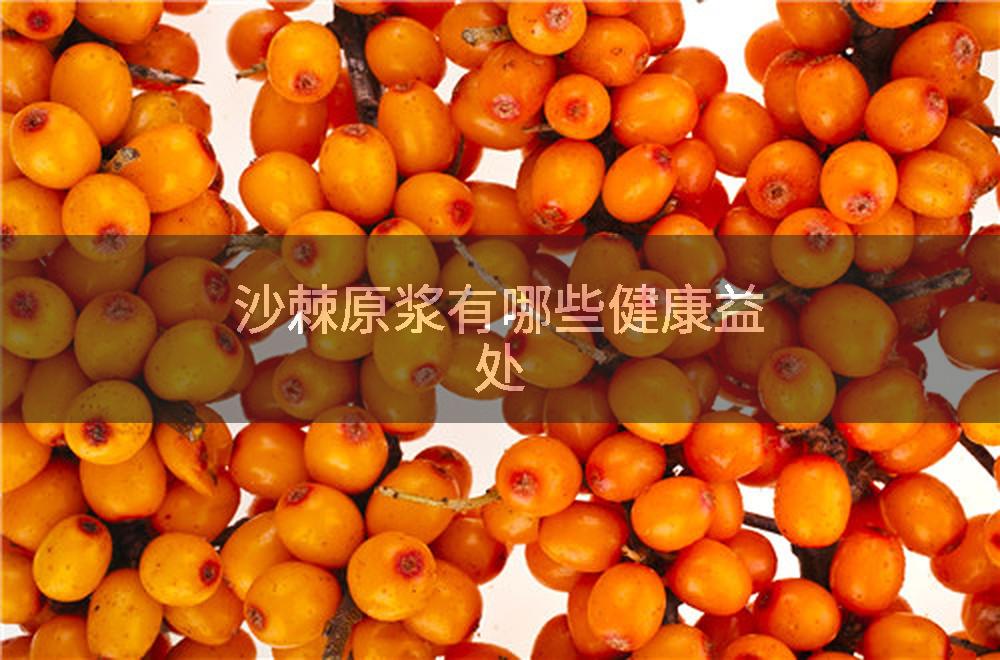 沙棘原浆有哪些健康益处