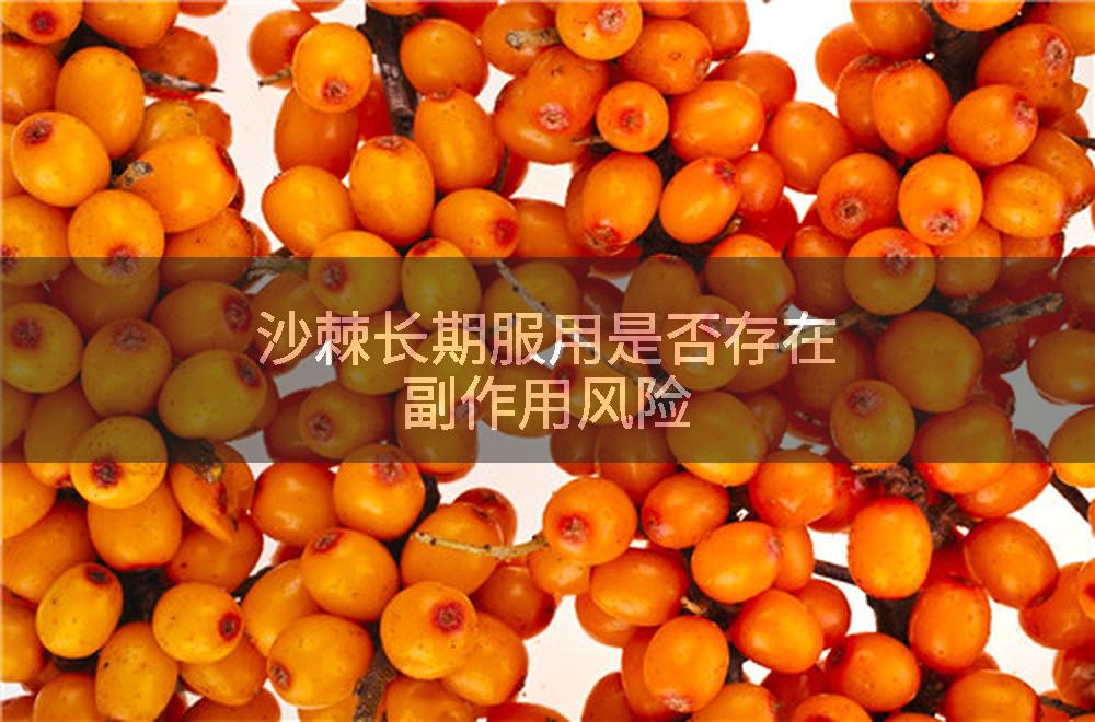 沙棘长期服用是否存在副作用风险