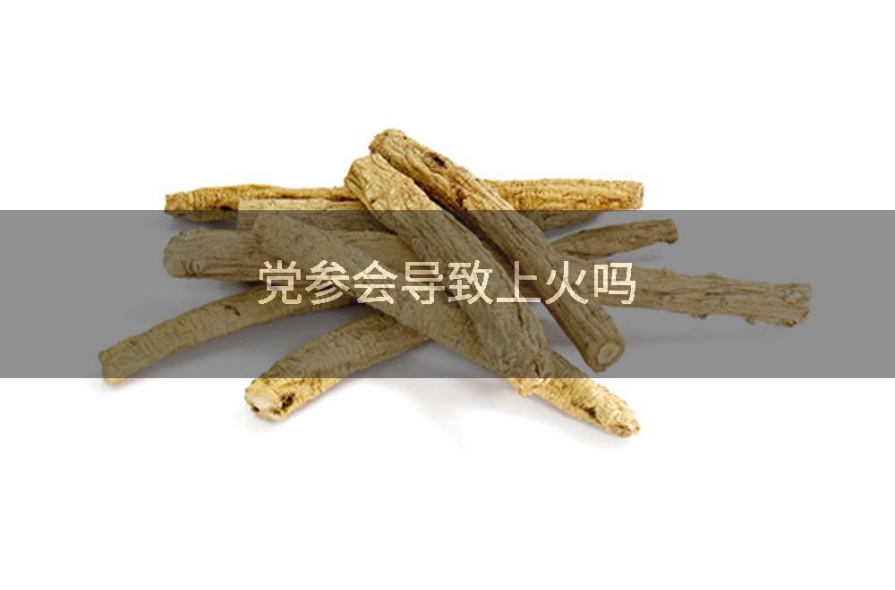 党参会导致上火吗