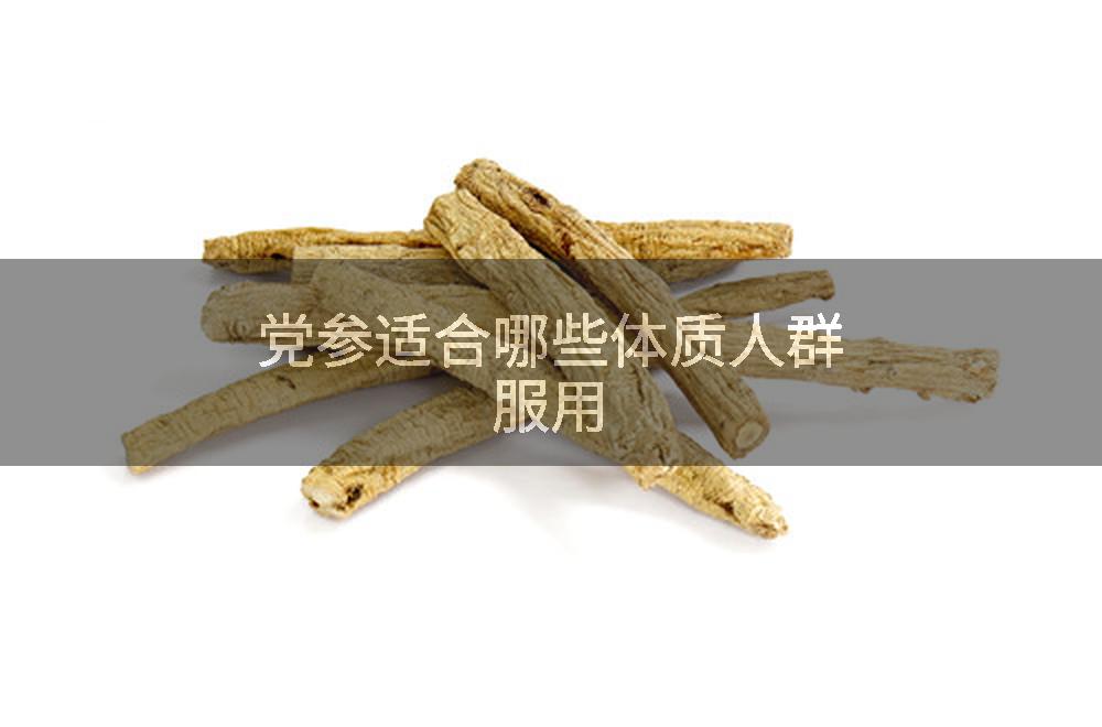党参适合哪些体质人群服用