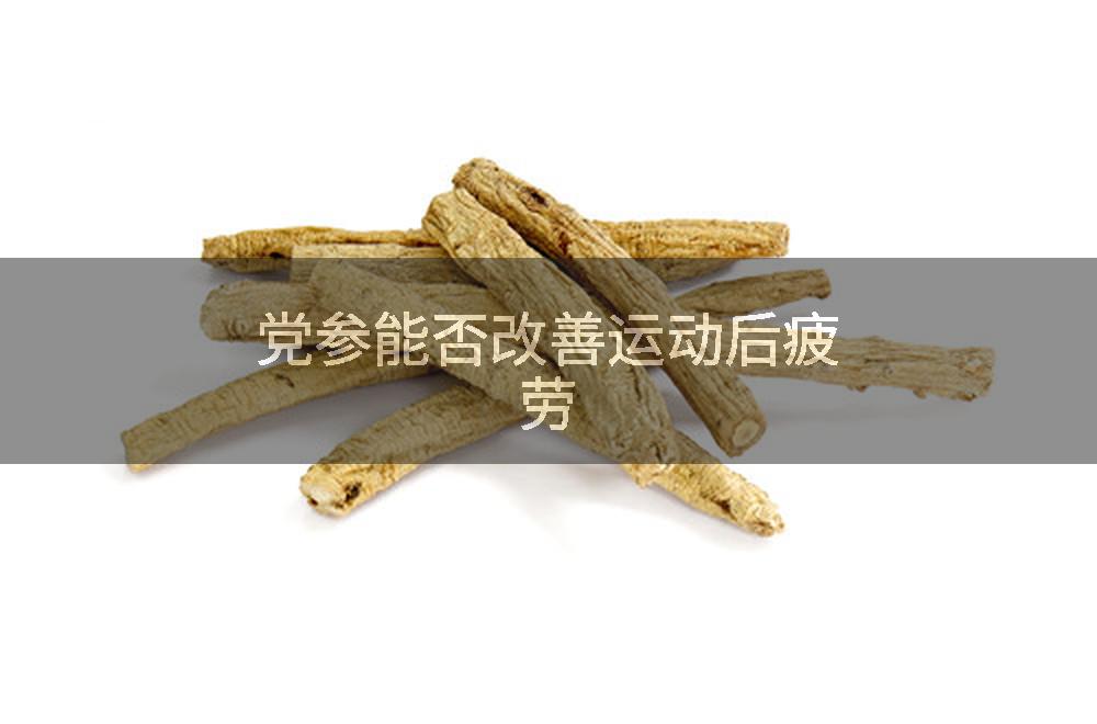 党参能否改善运动后疲劳