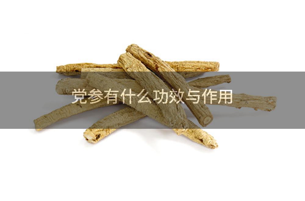 党参有什么功效与作用