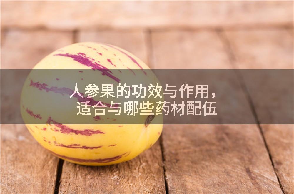 人参果的功效与作用，适合与哪些药材配伍