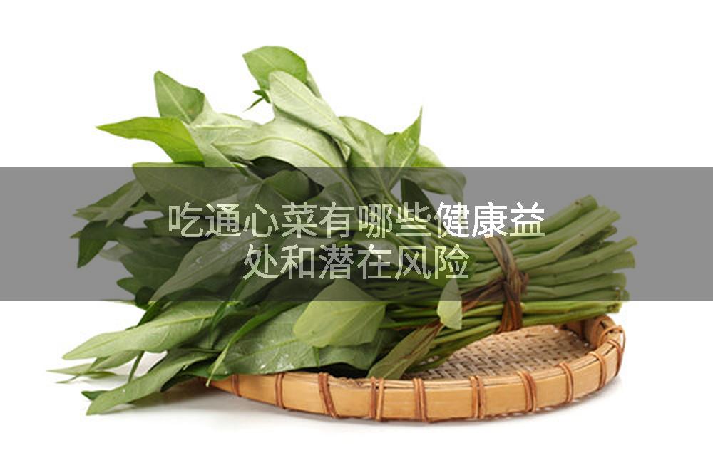 吃通心菜有哪些健康益处和潜在风险