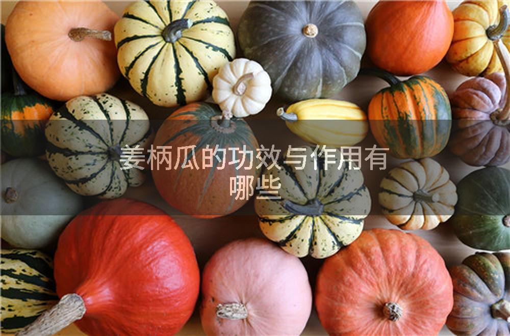 姜柄瓜的功效与作用有哪些