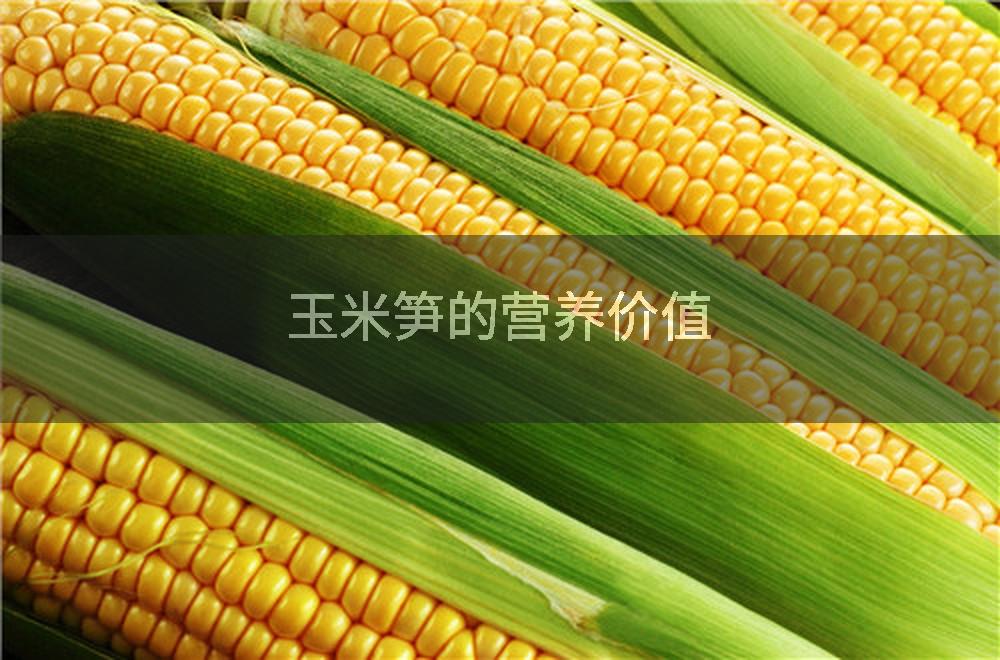 玉米笋的营养价值