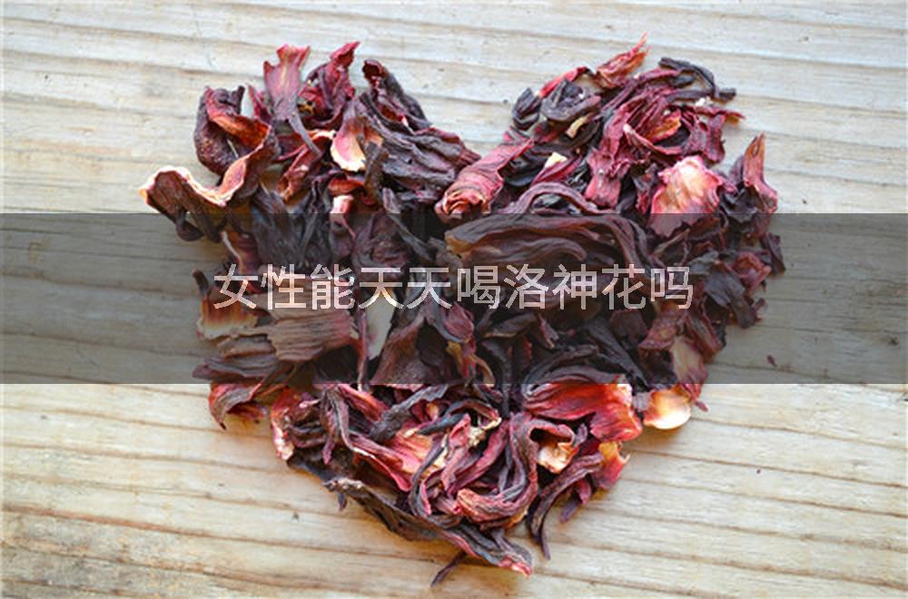 女性能天天喝洛神花吗