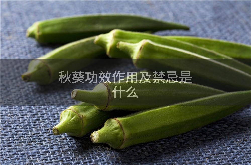 秋葵功效作用及禁忌是什么